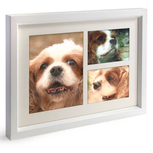 Photo frame collage with dog pictures